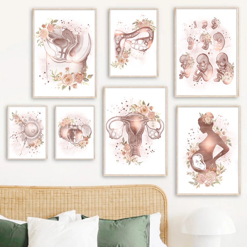 Gynecology Female Anatomy Fert - Resin Art Pregnancy recension och pris